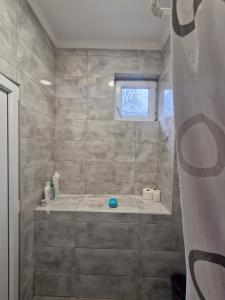 a bathroom with a shower with a tub and a window at Konak Kod Gorana 1 in Subotica