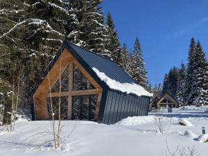 a small wooden cabin in the snow with trees at Chalet Belveder SPORT in Železná Ruda