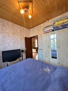a bedroom with a large bed and a tv at Mini Villa in Tel