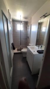 a bathroom with a shower and a toilet and a sink at Maison avec cour et jardin in Marolles-sur-Seine