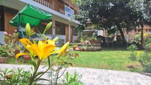 a yellow flower in a garden with a fountain at Kenti's Home Ollantaytambo in Ollantaytambo