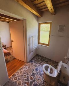 a bathroom with a toilet in a room with a window at WERK 2 - B&B Ecoturistic - Saschiz in Saschiz
