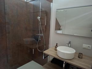 a bathroom with a shower and a white sink at Aux Caillebotis in Waimes +18 photos