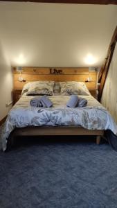 a bed with two pillows on it in a bedroom at Gite N 4 du Bas Coudreau in Rosnay