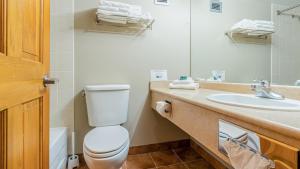 a bathroom with a toilet and a sink and a mirror at Cahilty #225 home in Sun Peaks