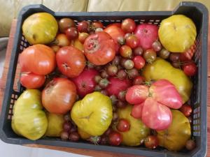 a basket of fruits and vegetables on a table at Hostal el Ciervo in Burunchel