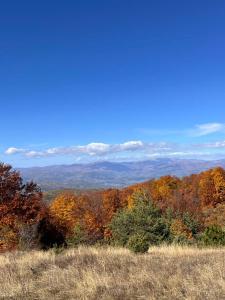 a view of the mountains from a hill with trees at Goldel Resort in Delčevo