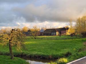 a green field with a house and a river at B&B Koe en Kussen in Bodegraven +19 photos