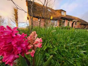 a garden with pink flowers in front of a house at B&B Koe en Kussen in Bodegraven