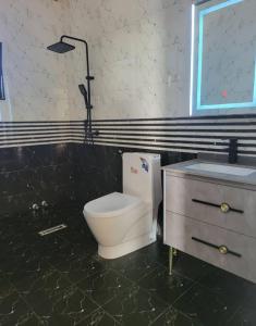a bathroom with a toilet and a sink at Ethiopian dream in Addis Ababa +8 photos