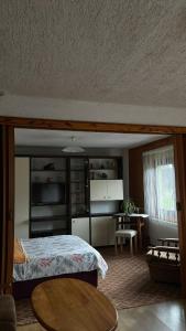 a bedroom with a bed and a desk and a table at Sokol in Ogulin