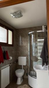 a bathroom with a toilet and a shower and a sink at Sokol in Ogulin +18 photos