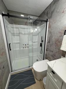 a bathroom with a shower and a toilet at Cozy blue house in Salt Lake City +37 photos