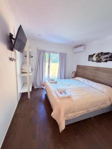 a bedroom with a large bed and a television at Las Lomas Suites & Spa in Chascomús +112 photos
