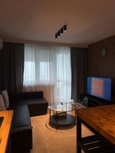 a living room with a couch and a coffee table at Apartament City Rent Płock in Płock
