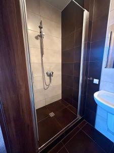 a bathroom with a shower with a toilet and a sink at Noclegi Kołek in Pogórze +17 photos