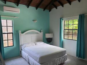 a bedroom with a white bed with blue walls and windows at forst home with a great ocean view in Kingstown +23 photos