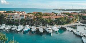 a bunch of boats are docked in a harbor at Estudio en Puerto Aventuras, Condominio con Alberca # 202 in Puerto Aventuras