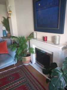 a living room with plants and a fireplace at Beautiful detached home in Evesham +8 photos