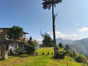 ein Haus auf einem Hügel mit einem Baum in der Unterkunft Starlight Mountain Lodge SIGCHOS in Sigchos