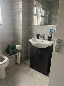 a bathroom with a sink and a toilet at Cierons château in Derry Londonderry +11 photos
