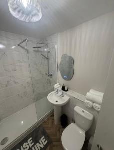 a bathroom with a toilet and a sink and a shower at Entire Flat in Lichfield City Centre in Lichfield +7 photos