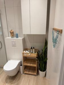 a bathroom with a toilet and a cabinet and a plant at Homestay in Dąbrowa Górnicza +36 photos