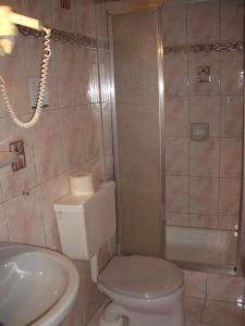 a bathroom with a toilet and a shower and a sink at Urlaub am Raderhof in der Ferienregion Lungau in Mauterndorf