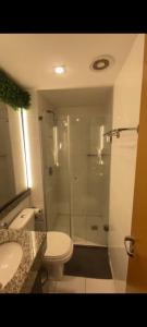 a bathroom with a shower and a toilet and a sink at Apartamento Águas Claras S4 particular in Águas Claras