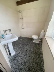 a bathroom with a sink and a toilet at The Hideaway Embleton in Embleton