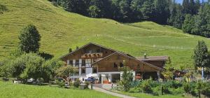 a house in a field with a hill at Wohnung in Reichenbach im Kandertal in Reichenbach