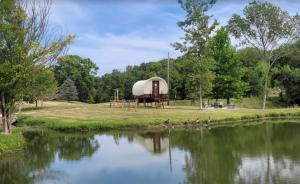 ein Teich mit einem Haus drumherum und Enten im Gras in der Unterkunft AOK Campground & RV Park in Saint Joseph