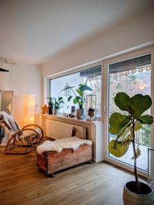 a living room with a large window and a plant at Basislager Rheinsteig in Bad Hönningen