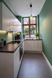 a kitchen with white cabinets and green walls at Greenbrook Homes - Jungle Suite in Aalborg