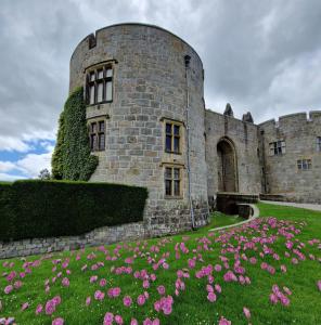 an old building with pink flowers in the grass at The Hand Hotel in Chirk