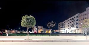 three trees on a sidewalk in a city at night at Suite Bahiya unica in Fez