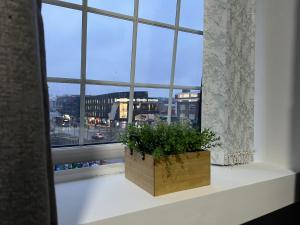 a plant in a box sitting on a window sill at Birmingham Central Luxury Suites in Birmingham