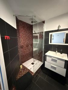 a bathroom with a shower and a sink at L'atelier in Capestang
