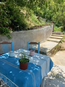 a blue table with two chairs and potted plants on it at Estudio La Higuera in Yelapa
