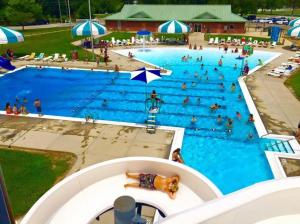 a group of people in a swimming pool at The Shelby Inn in Shelbyville