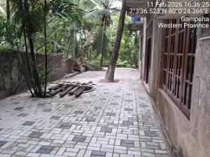 a brick walkway with a palm tree and a building at Layans Properties in Gampaha