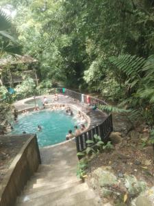 a swimming pool in the middle of a forest at Hotel Y Transporte LadyMar in Nuquí