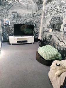 a living room with a tv and a mural at Albany Bayview Lodge in Albany