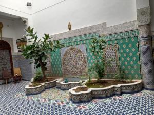 a room with two potted trees on a wall at Riad Benkirane Fes Medina in Fez