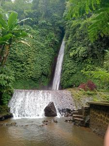 a waterfall in the middle of a forest at Mayong Awan Cita in Munduk