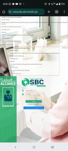 a screenshot of the sce agency website at Don Paraiso in Villa María del Trunfo