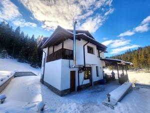 a small house with snow on the ground at Daisy Forest in Borino