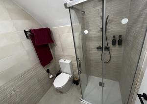 a small bathroom with a shower and a toilet at Villa Abril en el Porvenir in Seville +19 photos