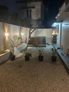a courtyard with potted plants and a bench at night at SBJ Road House in Varkala