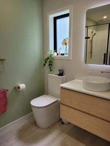 a bathroom with a toilet and a sink and a mirror at Clearwater Private Guest Suite in Dunedin